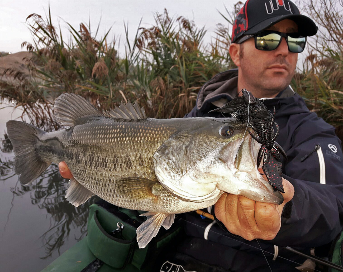 Molix Creature 10 cm